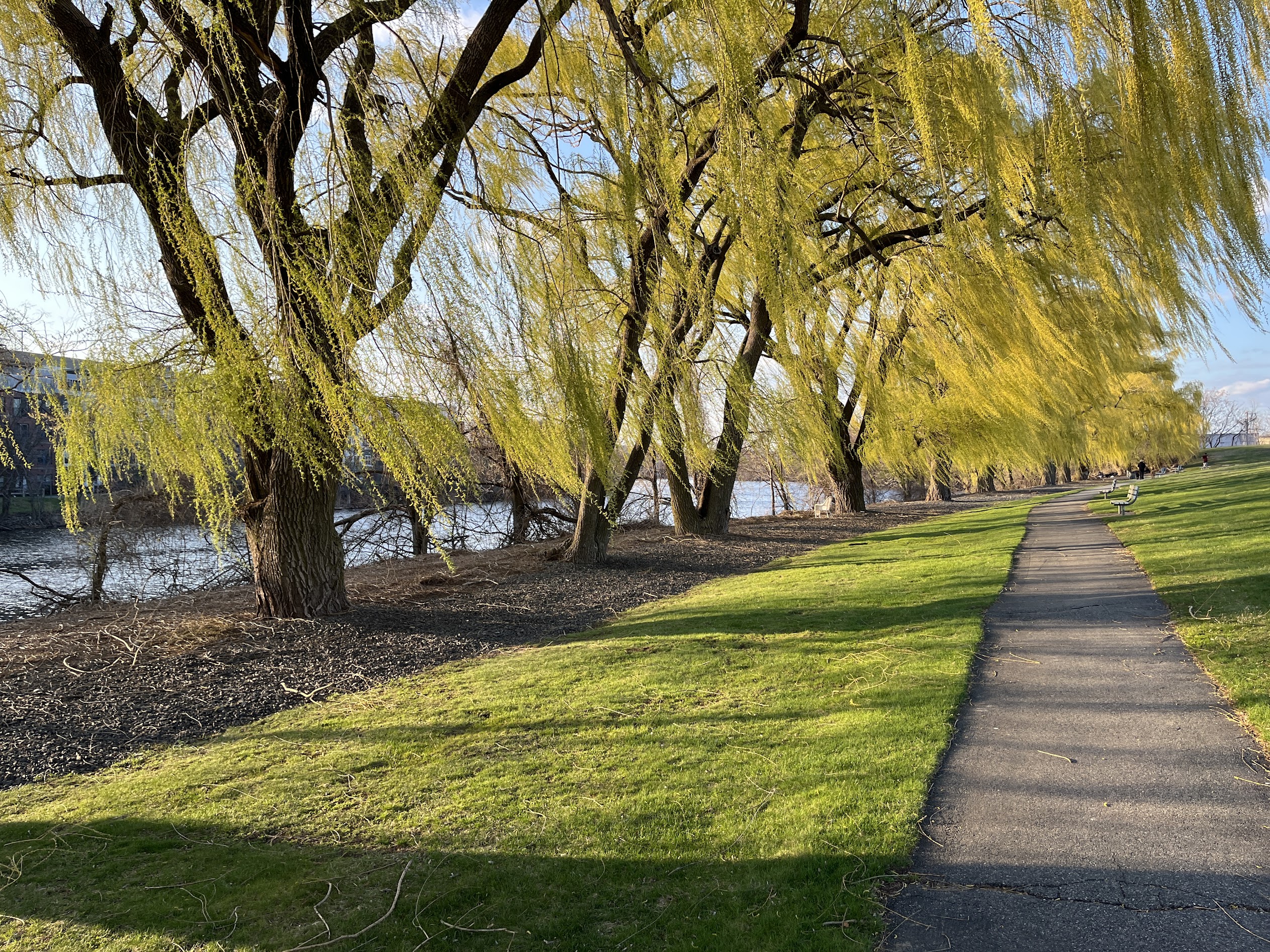 A new walking trail steps us through our urban wilds