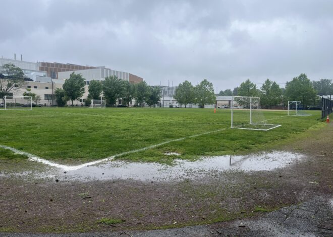 Ahern Field: Plastics should not be our future