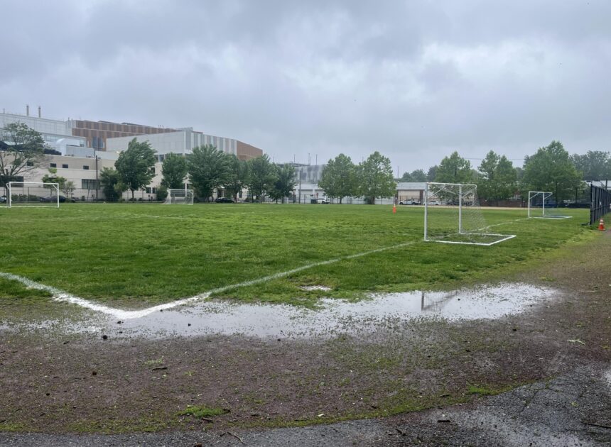Ahern Field: Plastics should not be our future