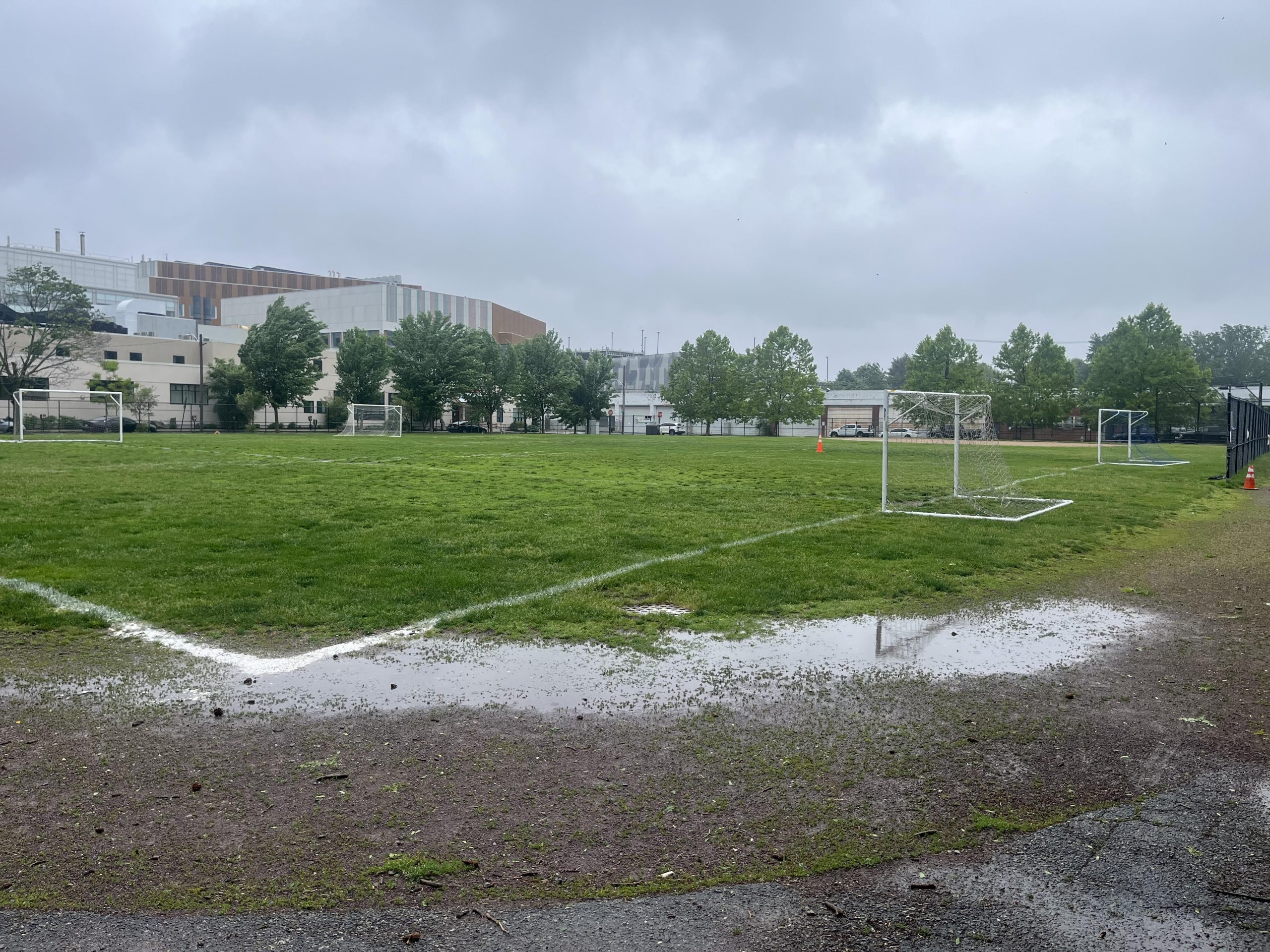 Ahern Field: Plastics should not be our future