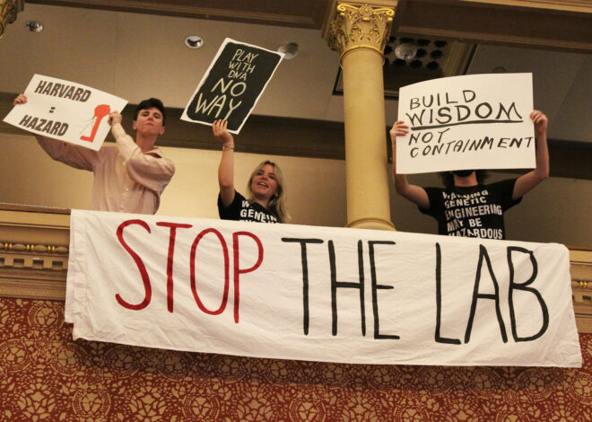 Immersive play at City Hall revives 1976 recombination debate