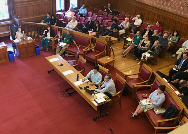 Planning Board, Ordinance Committee pan Brown petition