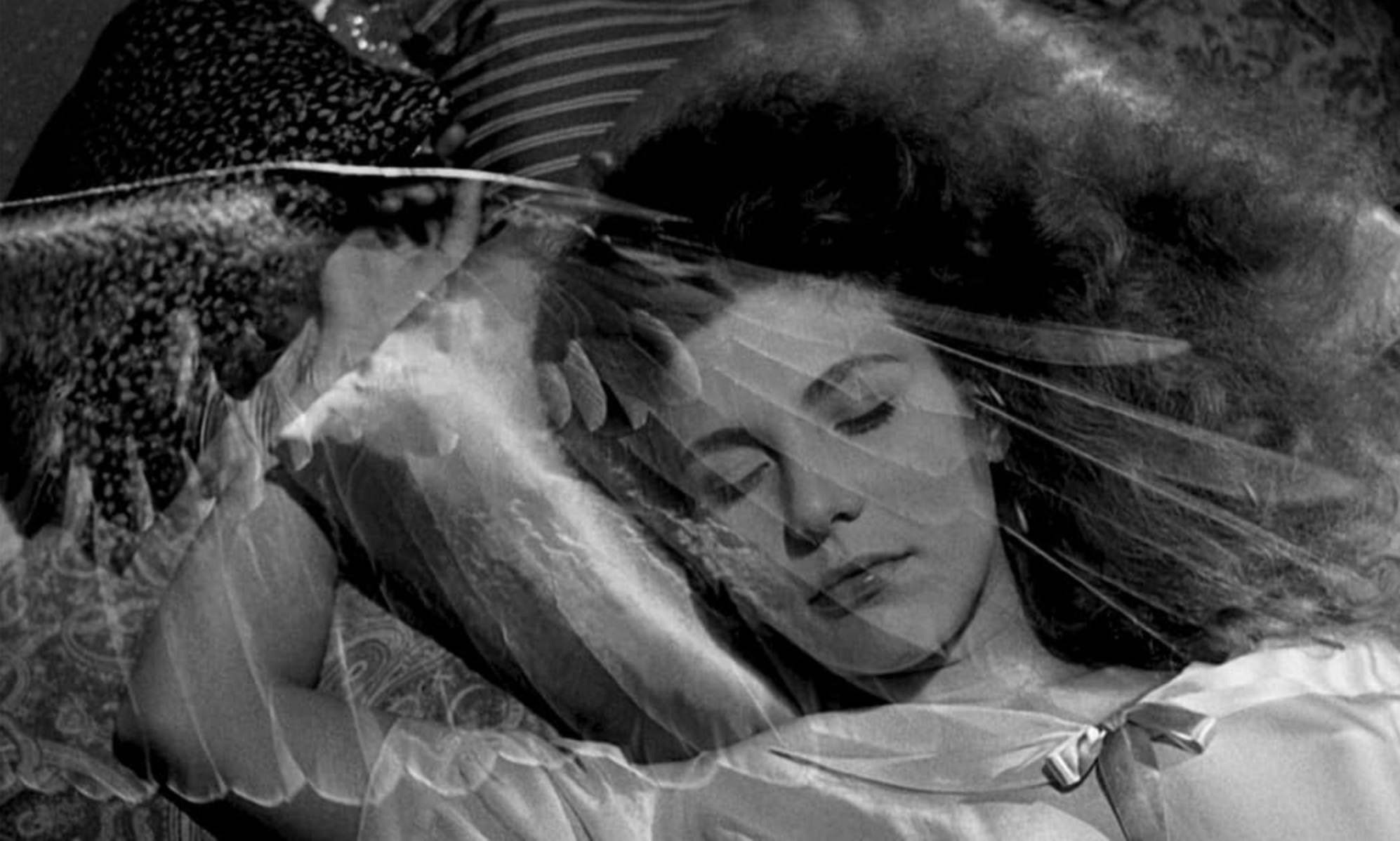 Cemetery screenings that don’t scare